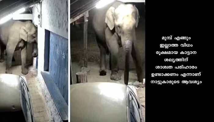 മൂന്നാർ ചിന്നക്കനാൽ മേഖലയിൽ വീണ്ടും കാട്ടാന ആക്രമണം പലചരക്ക് കടയും ഷെഡും തകർത്തു