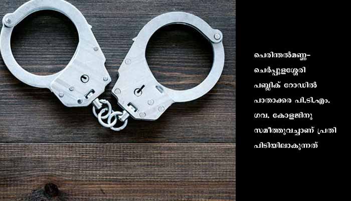 മയക്കുമരുന്നുകേസ്: യുവാവിന് പത്തുവര്‍ഷം കഠിനതടവും പിഴയും