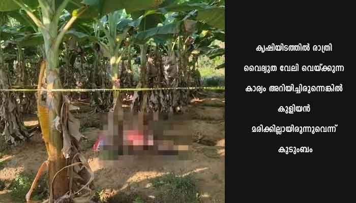 ആദിവാസി കോളനിയിലെ കുളിയൻ വൈദ്യുതാഘാതമേറ്റ് മരിച്ച സംഭവത്തിൽ സ്ഥല ഉടമ ജോബി അറസ്റ്റിൽ