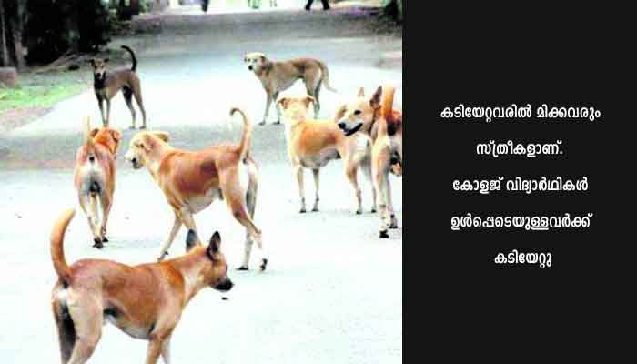 എട്ടുപേര്‍ക്ക് പേപ്പട്ടിയുടെ കടിയേറ്റു
