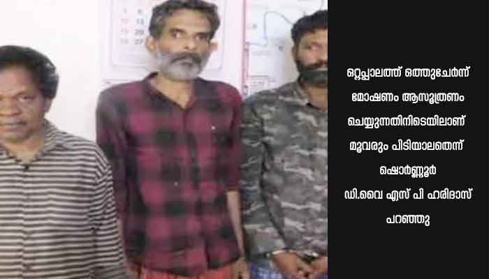 നിരവിധി മോഷണ കേസുകളിൽ പ്രതികളായ മൂന്നുപേർ അറസ്റ്റിൽ