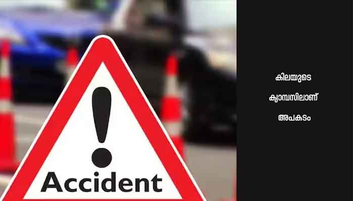 നിർത്തിയിട്ടിരുന്ന ജീപ്പ് താഴ്ചയിലേക്ക് മറിഞ്ഞ് യുവതി മരിച്ചു