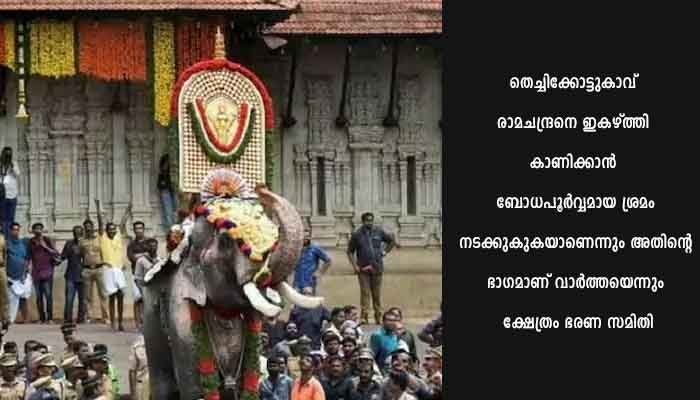 തെച്ചിക്കോട്ടുകാവ് രാമചന്ദ്രനെ വ്യവസ്ഥകൾക്ക് വിധേയമായി എഴുന്നള്ളിക്കാൻ അനുമതി