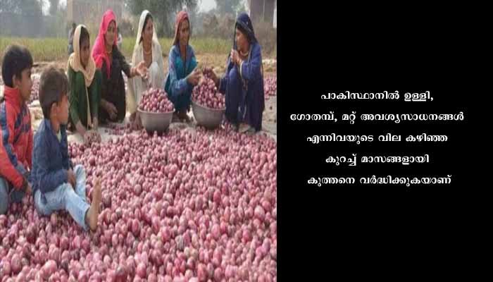 പാക്കിസ്ഥാനിലെ സാമ്പത്തിക തകർച്ച അനുദിനം വഷളാകുന്നു;   ഉള്ളിവില പാകിസ്ഥാനിൽ കിലോയ്ക്ക് 250 രൂപ