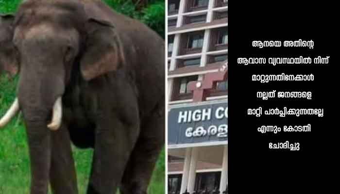 അരിക്കൊമ്പനെ മാറ്റിയാൽ പ്രശ്നം തീരുമോ എന്ന് ഹൈകോടതി