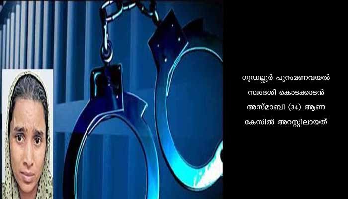 പ്രസവ ശുശ്രൂഷയ്ക്ക് നിന്ന വീട്ടിൽ മോഷണം നടത്തിയ യുവതിയെ പോലീസ് കസ്റ്റഡിയിൽ വാങ്ങി