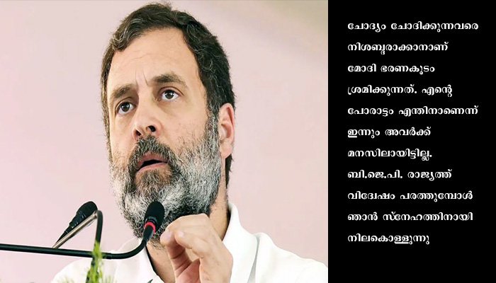 പദവിയില്ലെങ്കിലും വയനാടിന്റെ പ്രതിനിധി: രാഹുല്‍ ഗാന്ധി