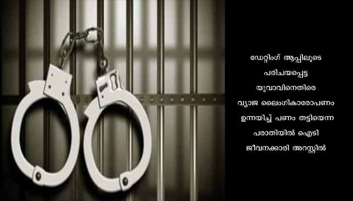 യുവാവിനെതിരെ വ്യാജ ലൈംഗികാരോപണം: ഐടി ജീവനക്കാരിയും സുഹൃത്തും അറസ്റ്റിൽ