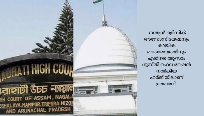 ദേശീയ ഗുസ്തി ഫെഡറേഷൻ തെരഞ്ഞെടുപ്പ് ഗുവാഹത്തി ഹൈക്കോടതി സ്റ്റേ ചെയ്തു