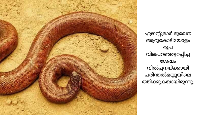 ഇരുതലമൂരിയുമായി തട്ടിപ്പ് നടത്തുനന് സംഘം അറസ്റ്റിൽ