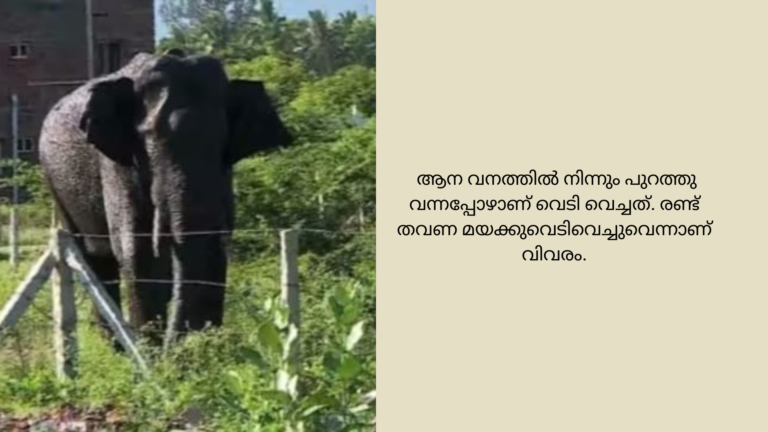 അരിക്കൊമ്പനെ വീണ്ടും മയക്കുവെടിവെച്ചു,