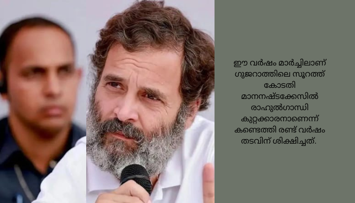 മാനനഷ്ടക്കേസിൽ രാഹുൽ ഗാന്ധിക്ക് എതിരെയുളള ശിക്ഷാ നടപടി വിലക്കി ജാർഖണ്ഡ് ഹൈക്കോടതി