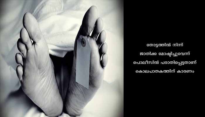 സഹോദര പുത്രന്റെ വെട്ടേറ്റ വയോധികൻ മരിച്ചു