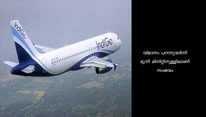 എഞ്ചിൻ തകരാർ: ഇൻഡിഗോ വിമാനം അടിയന്തരമായി തിരിച്ചിറക്കി