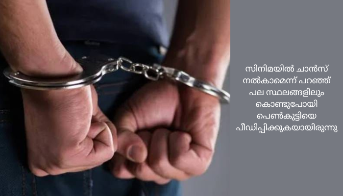പ്രായപൂർത്തിയാകാത്ത പെൺകുട്ടിയെ പീഡിപ്പിച്ച യുവസംവിധായകൻ അറസ്റ്റിൽ