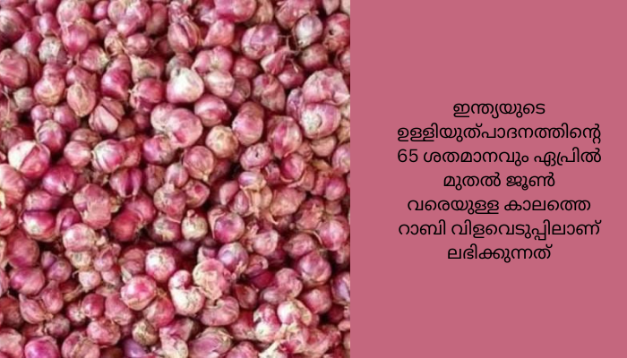 ഉള്ളി വില കുതിച്ചുയരുന്നു; സർക്കാർ കരുതൽശേഖരത്തിൽ നിന്ന് ഉള്ളി വിതരണത്തിന് നൽകി തുടങ്ങിയതായി എഎൻഐ റിപ്പോർട്ട്