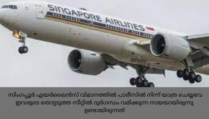 വിമാനത്തിൽ 13 മണിക്കൂർ നായയുടെ അടുത്ത് ഇരിക്കേണ്ടി വന്ന ദമ്പതികൾക്ക് ടിക്കറ്റ് ചാർജ് തിരികെ നൽകി