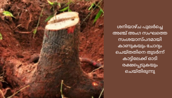 തൃശൂരിൽ ചന്ദനക്കൊള്ള സംഘം പിടിയിൽ