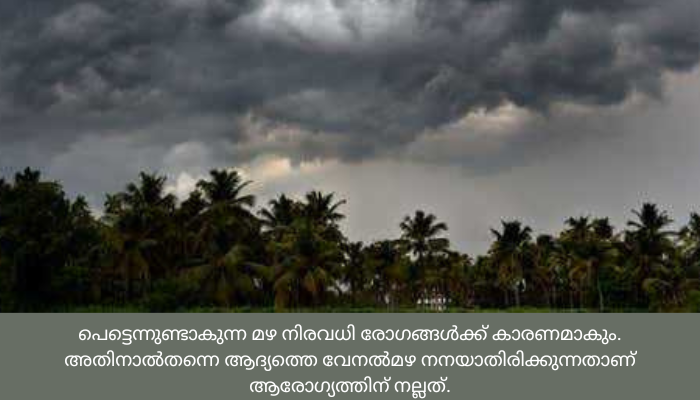 കത്തുന്ന വേനലിൽ ആശ്വാസമേകാൻ വേനൽ മഴ എത്തുന്നു; 12 ജില്ലകള്‍ക്ക് മുന്നറിയിപ്പ്
