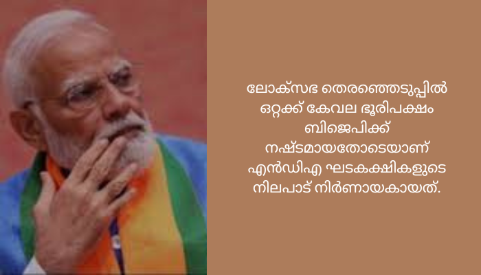 രാജ്യം ആര് ഭരിക്കും? സഖ്യ കക്ഷികളുടെ പിന്തുണയോടെ സര്‍ക്കാര്‍ രൂപീകരിക്കാൻ ബിജെപി; നിര്‍ണായക യോഗങ്ങള്‍ ഇന്ന്