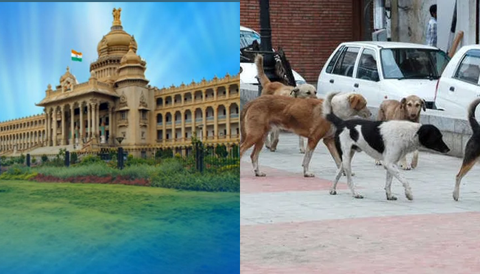 അങ്ങനെ നിയമസഭാ കോംപ്ലക്സിനുള്ളിൽ തെരുവ് നായകൾക്ക് കിടക്കാനിടമായി
